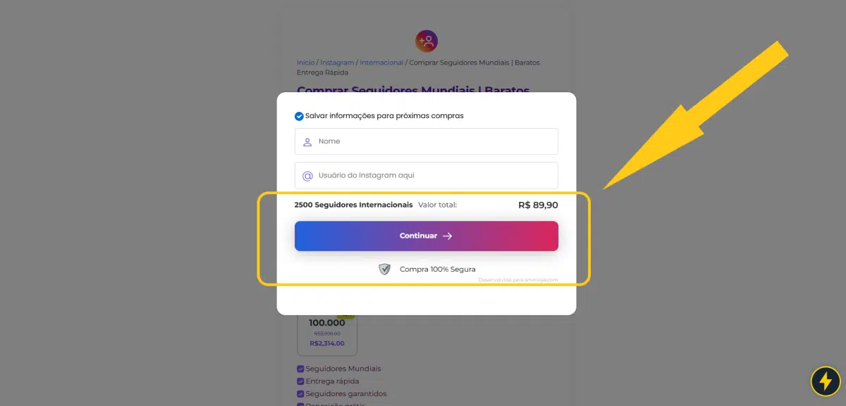 Comprar Seguidores Mundiais | Baratos Entrega Rápida 8 Print mostrando quais informações preencher ao comprar seguidores mundiais